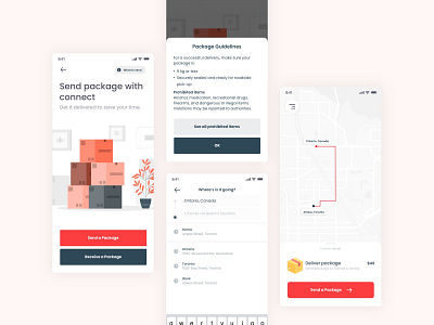 Package delivery app concept