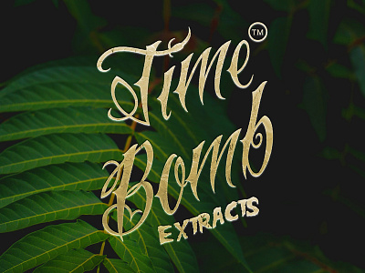 Timebomb Extracts Logo .ai .psd brand branding design freebie identity logo typography