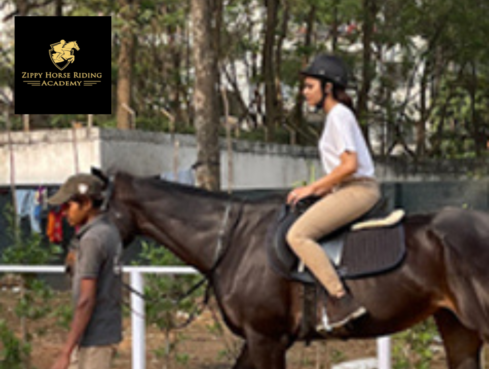 Horse Riding Academy In Bangalore by zippy on Dribbble