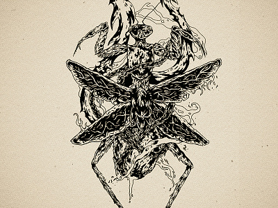 Mantis drawing handdrawn illustration ink mantis old sketchbook traditional