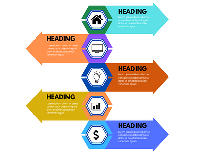 Infographic design animation canva canva design design graphic design illustration infographic logo