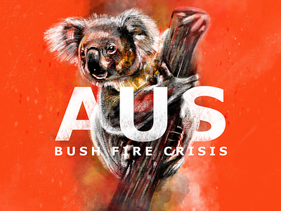 Australian Bush Fire Crisis Illustration australia bear burning bushfire climate change digital illustration fire illustration koala koala illustration procreate wildlife wildlife drawing