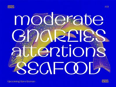 Moderate Seafood display experimental font font design modern roman sans sarsatype typedesign typeface typography