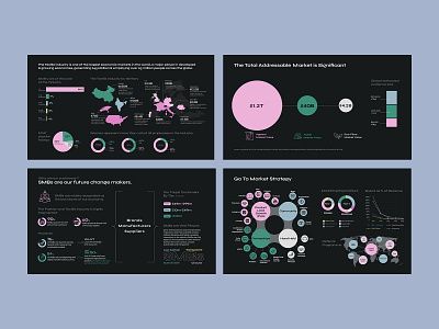 Infographic & Presentation data visualization data viz deck design infographic pitch deck presentation slides