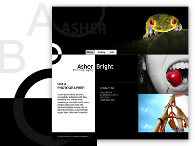 Personal Portfolio Homepage black and white theme graphic design homepage design interaction design photography portolfio user experience user interface