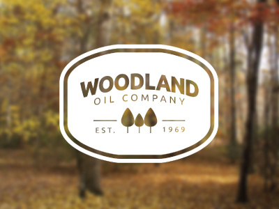 Woodland Oil Revamp branding clean fresh logo oil