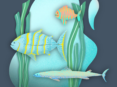 ColorFish fish fishing illustration ipad ocean procreate sea tropical