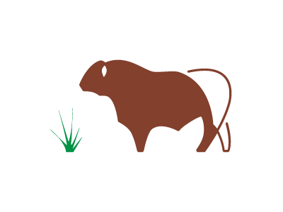 Latigo Logo 2 agriculture design livestock ranch management ranching