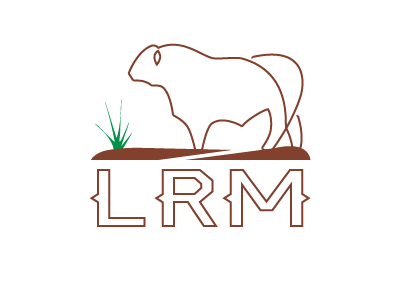 Latigo Logo Outline agriculture angus design livestock ranch management ranching red angus