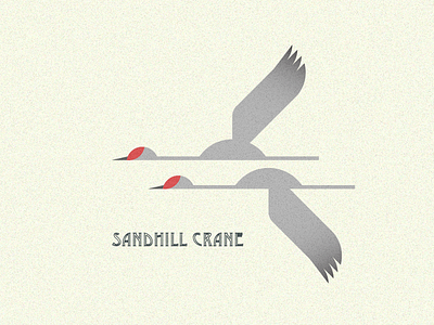 Native Bird Series - Sandhill Cranes