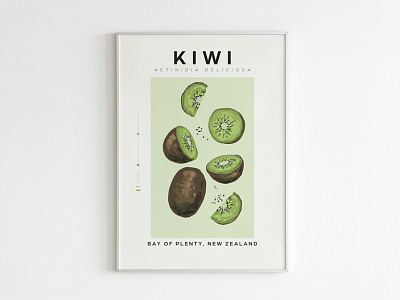 Kiwi Fruit Poster design graphic design illustration typography