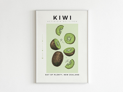 Kiwi Fruit Poster