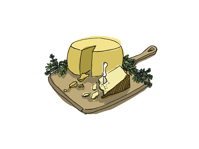 Cheese Board Illustration design graphic design illustration