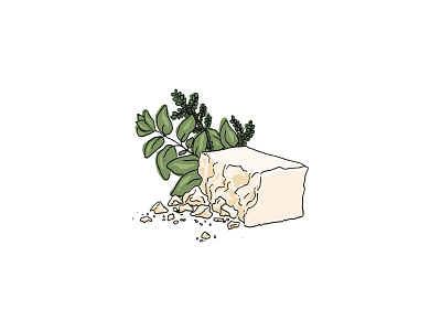 Feta and Herb Illustration design graphic design illustration