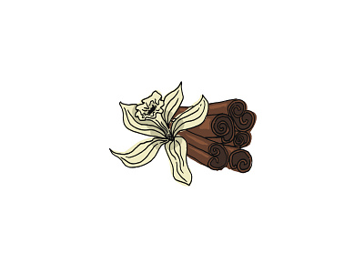 Vanilla and Cinnamon Illustration design graphic design illustration vector