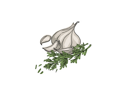 Garlic and Rosemary Illustration