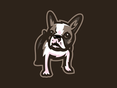 My dog, Gary. branding dog graphic design illustrator logo mascot sports