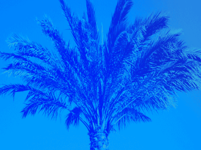 Your Desktop on Vacation art bending blue data dither error glitch mosh palm vacation