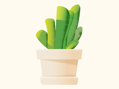 Succulent drawing