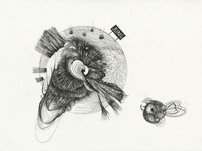 Jung (Young) drawing illustration ink planet