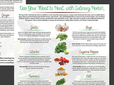 Use Your Meal To Heal eco learning health layout poster