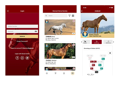 Marwari Horse Society graphic design ui