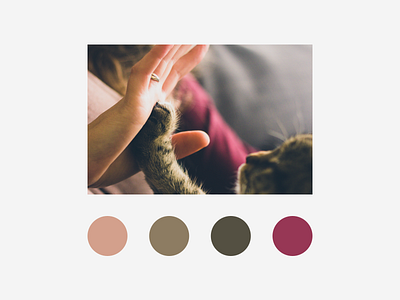 Colourful Day 8 | High Five ✋ color colour debut design icon illustration layout photography type ui ux