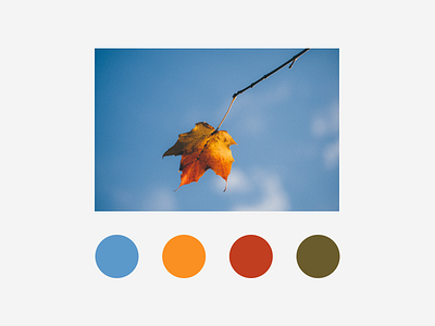 Colourful Day 18 color colour debut design icon illustration layout photography type ui ux