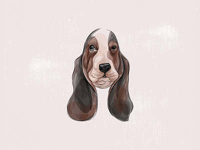 basset hound animal dog illustration