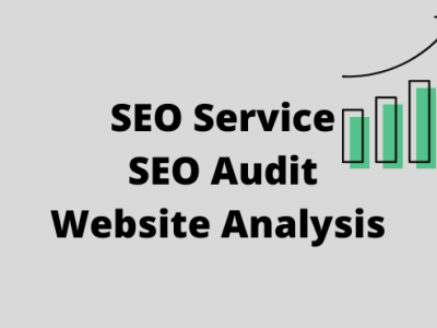 Website SEO or Website Audit branding graphic design websiteanalysis