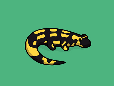 Salamander animals cute design endangered illustration logo salamander the100dayproject
