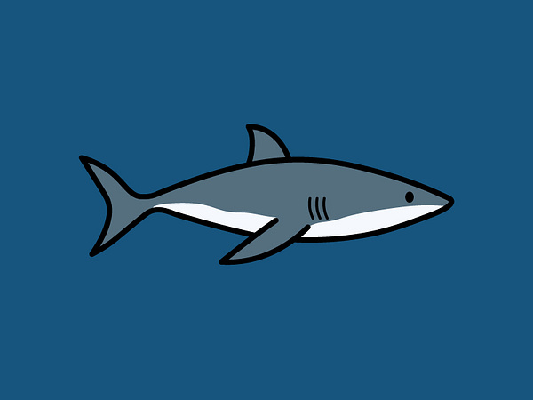 Great White Shark by Cynthia Tizcareno on Dribbble