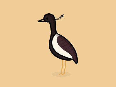 Lesser Florican animals birds cute design endangered illustration the100dayproject