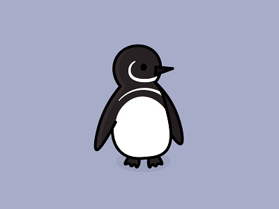 Galapagos Penguin animals cute endangered illustration penguin the100dayproject