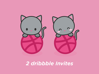 2 Dribbble Invites cat cute designer illustration invite love