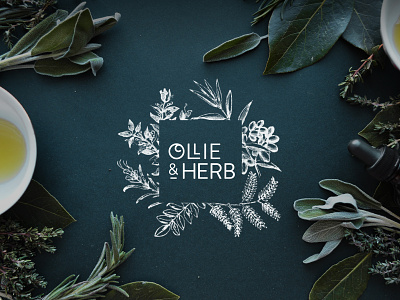 Ollie & Herb branding floral herbs logo photography typography