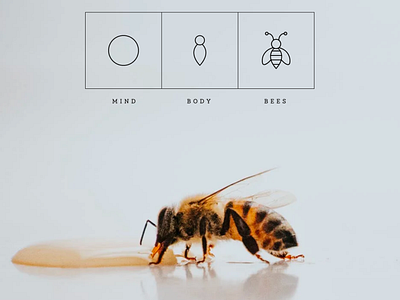 Mind | Body | Bees adobe illustrator bee bees design graphic design icon illustration illustration art vector wellness