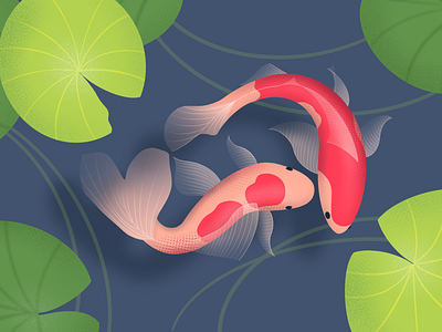 Rose Koi Fish fish illustration procreate texture