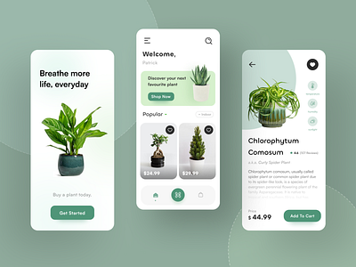 PlantiFy - One Stop Plant Shop app design design e commerce shop ecommerce interface plant plant app plant shop typography ui user interface