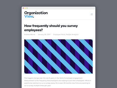 OrganizationView blog design abstract blog blog design data analytics design graphic graphic design hr squarespace survey swiss design swiss style type typography ui ui design vector web web design website