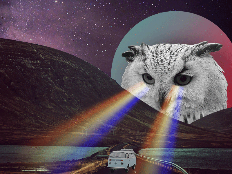 Owl be watching you collage digital art graphic design photo manipulation simple animation