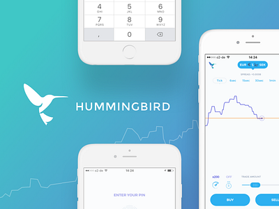 Hummingbird android app flow identity ios logo mobile startup user