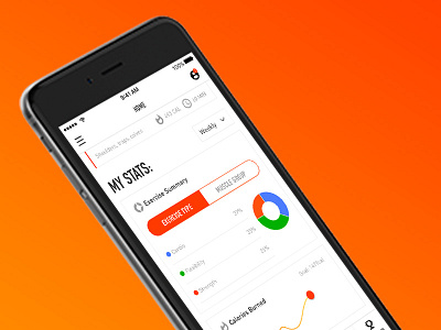 Workout Tracker - Personal Home - My Stats
