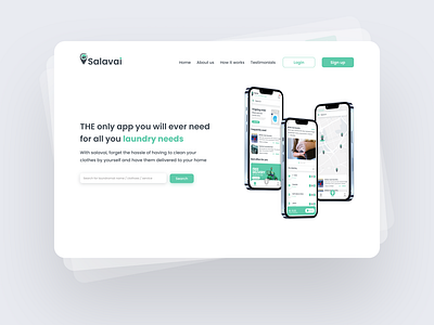 laundry app landing page