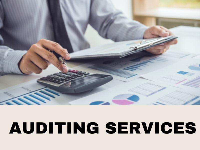 The 10 Best Audit Firms in Dubai by aisa on Dribbble