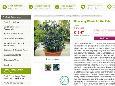 Garden Express Product Page ecommerce online page product shop