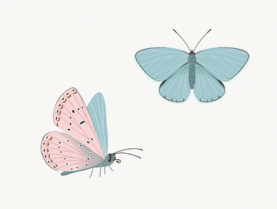 Pinky blue butterfly blue butterfly illustration illustrations pink