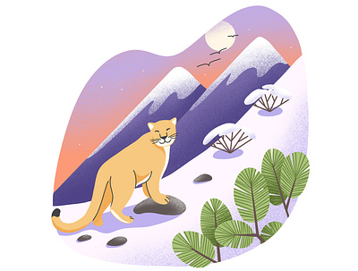 Cougar cougar illustration illustrations photoshop procreate wild cat
