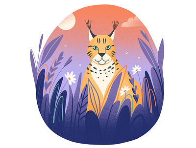 Lynx illustration illustrations lynx lynx illustration nature photoshop procreate wild cat