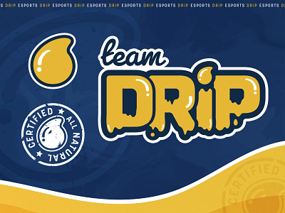 Team DRiP – Esports Logo Design branding design esports logo typography vector